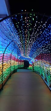 みろくの里に投稿された画像（2024/12/18）