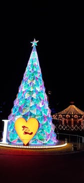 みろくの里に投稿された画像（2024/12/18）