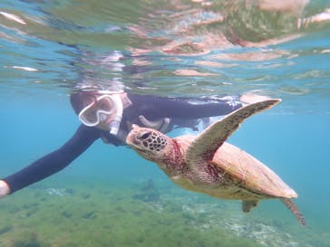 nico 宮古島に投稿された画像（2024/12/18）