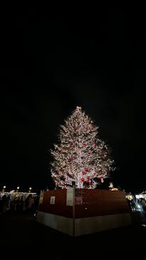 Christmas Market in 横浜赤レンガ倉庫 2025に投稿された画像（2024/12/18）