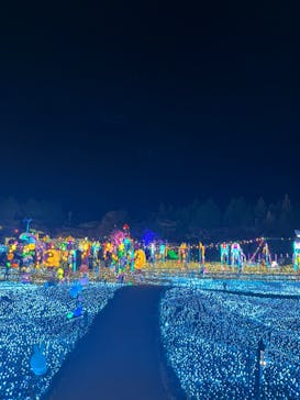 伊豆高原グランイルミに投稿された画像（2024/12/18）