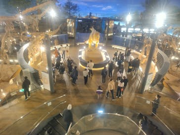 福井県立恐竜博物館に投稿された画像（2024/12/18）