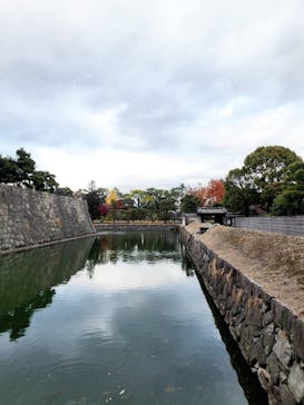 元離宮二条城に投稿された画像（2024/12/19）