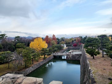 元離宮二条城に投稿された画像（2024/12/19）