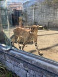 多摩動物公園に投稿された画像（2024/12/19）