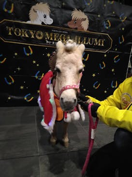 東京メガイルミに投稿された画像（2024/12/19）