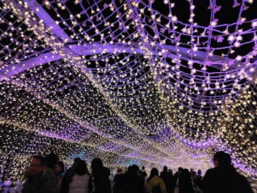 東京メガイルミに投稿された画像（2024/12/19）