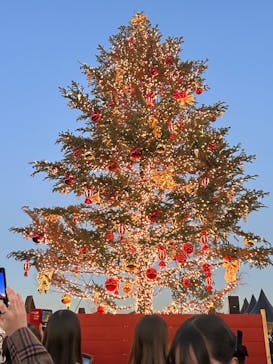 Christmas Market in 横浜赤レンガ倉庫 2025に投稿された画像（2024/12/19）