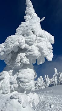 阿仁スキー場に投稿された画像（2024/12/19）