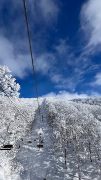 阿仁スキー場に投稿された画像（2024/12/19）