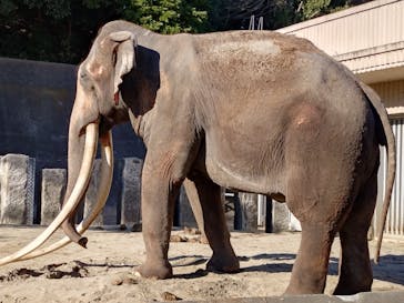 横浜市立金沢動物園に投稿された画像（2024/12/19）