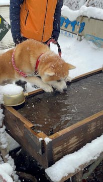 一般社団法人ヘルスケアデザイン秋田に投稿された画像（2024/12/19）