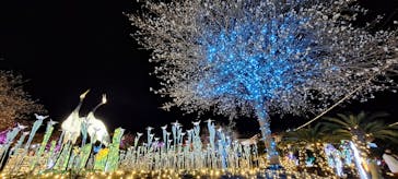 伊豆高原グランイルミに投稿された画像（2024/12/19）