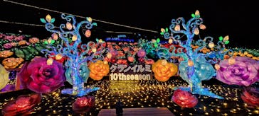 伊豆高原グランイルミに投稿された画像（2024/12/19）