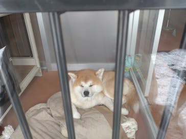 阿仁スキー場に投稿された画像（2024/12/19）