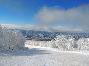 阿仁スキー場に投稿された画像（2024/12/19）