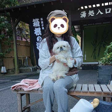 箱根の湯に投稿された画像（2024/12/19）