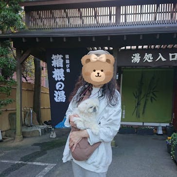 箱根の湯に投稿された画像（2024/12/19）