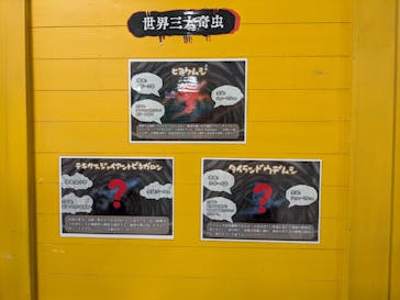 いきもの探検隊上尾に投稿された画像（2024/12/19）