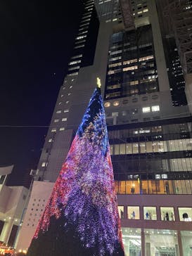 梅田スカイビル・空中庭園展望台に投稿された画像（2024/12/19）