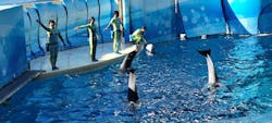 新江ノ島水族館×岩屋に投稿された画像（2024/12/19）