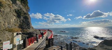新江ノ島水族館×岩屋に投稿された画像（2024/12/19）