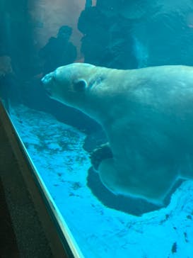 よこはま動物園ズーラシアに投稿された画像（2024/12/19）