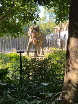よこはま動物園ズーラシアに投稿された画像（2024/12/19）