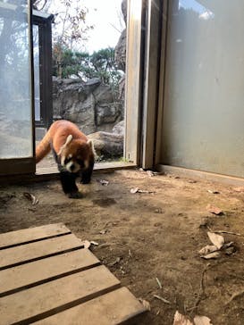 よこはま動物園ズーラシアに投稿された画像（2024/12/19）