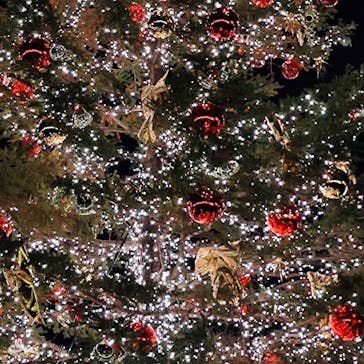 Christmas Market in 横浜赤レンガ倉庫 2025に投稿された画像（2024/12/19）