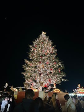 Christmas Market in 横浜赤レンガ倉庫 2025に投稿された画像（2024/12/19）