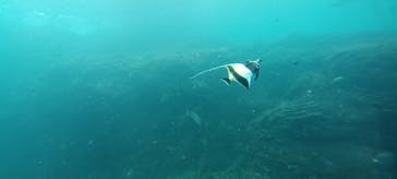 串本海中公園水族館に投稿された画像（2024/12/19）