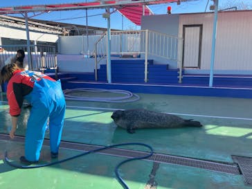 ゼロ距離水族館 伊勢シーパラダイスに投稿された画像（2024/12/19）