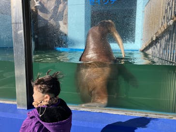 ゼロ距離水族館 伊勢シーパラダイスに投稿された画像（2024/12/19）