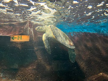 ゼロ距離水族館 伊勢シーパラダイスに投稿された画像（2024/12/19）