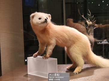 国立科学博物館に投稿された画像（2024/12/19）