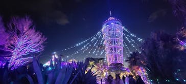 江の島シーキャンドルに投稿された画像（2024/12/19）