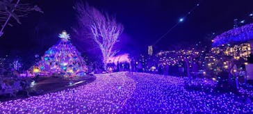 江の島シーキャンドルに投稿された画像（2024/12/19）