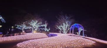 江の島シーキャンドルに投稿された画像（2024/12/19）