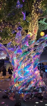 江の島シーキャンドルに投稿された画像（2024/12/19）