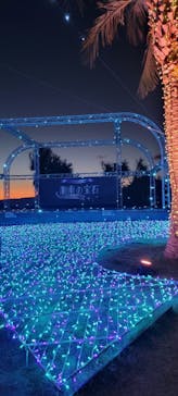 江の島シーキャンドルに投稿された画像（2024/12/19）