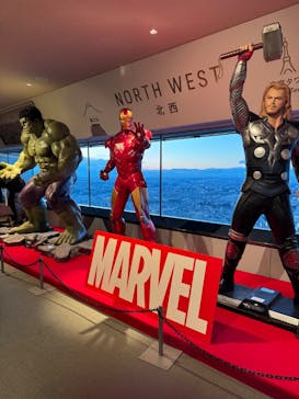 横浜ランドマークタワー 69階展望フロア スカイガーデンに投稿された画像（2024/12/19）