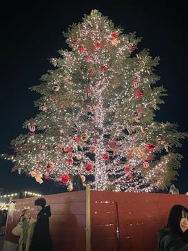Christmas Market in 横浜赤レンガ倉庫 2025に投稿された画像（2024/12/19）