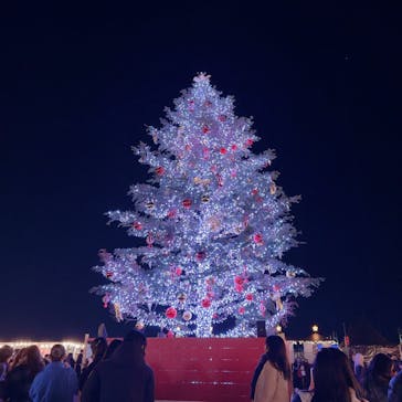 Christmas Market in 横浜赤レンガ倉庫 2025に投稿された画像（2024/12/19）