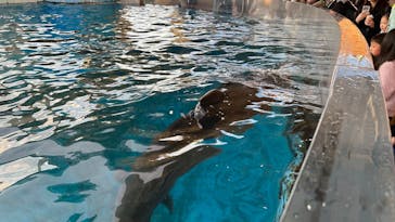 新江ノ島水族館に投稿された画像（2024/12/19）