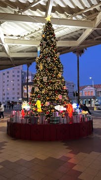 新江ノ島水族館に投稿された画像（2024/12/19）