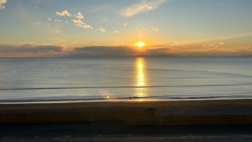 新江ノ島水族館に投稿された画像（2024/12/19）