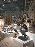 特別展「鳥 ～ゲノム解析が解き明かす新しい鳥類の系統～」国立科学博物館に投稿された画像（2024/12/20）