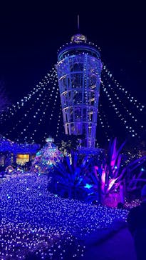 江の島シーキャンドルに投稿された画像（2024/12/19）