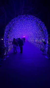 江の島シーキャンドルに投稿された画像（2024/12/19）